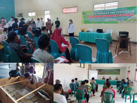 Aneng 2