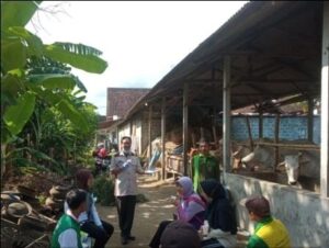 WhatsApp Image 2022-12-20 at 2.51.38 PM