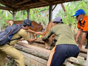 WhatsApp Image 2022-12-21 at 10.44.01 AM