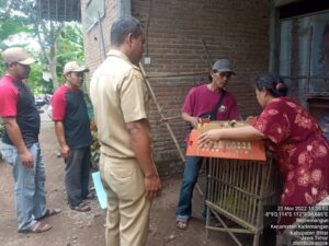 Pendistribusian Bantuan Produksi Entok