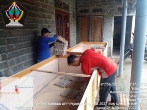 Pendistribusian Bantuan Produksi Jangkrik